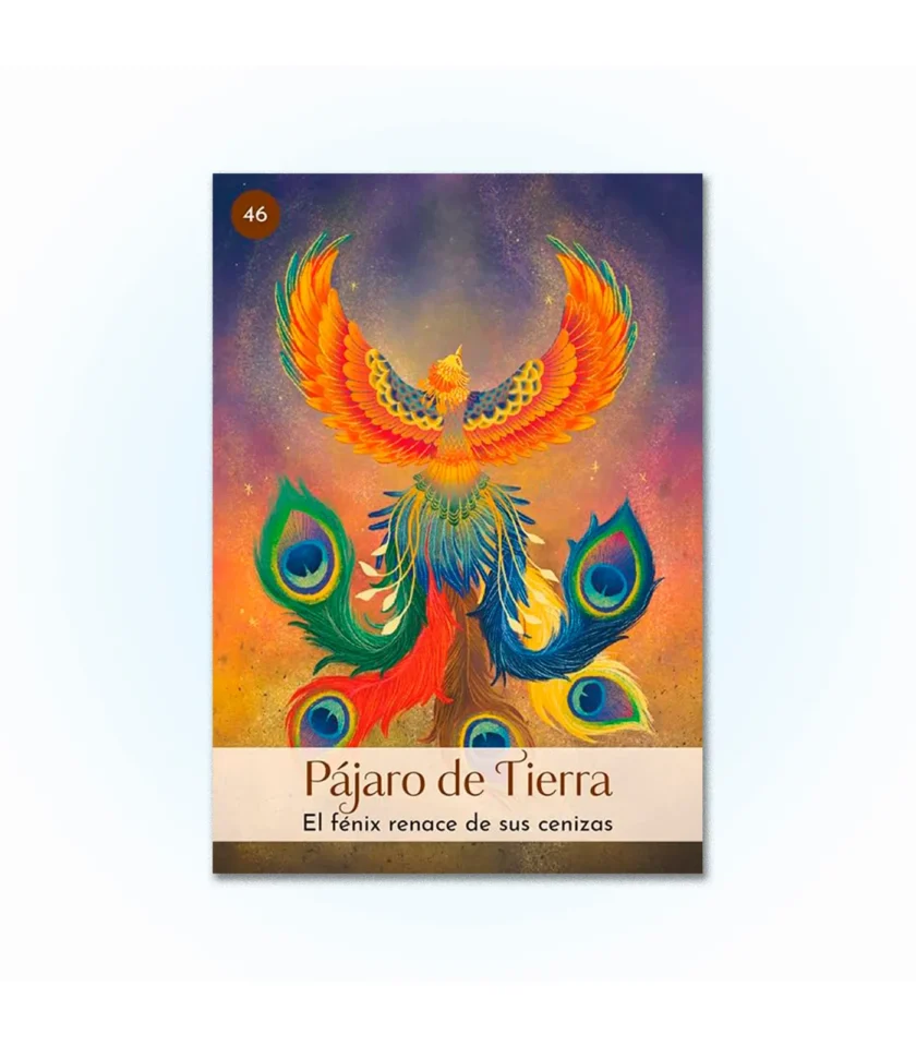 Carta del Oráculo Cinco Elementos Chinos